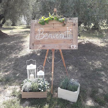 Agriturismo Fonteregia Montecatini Terme Extérieur photo